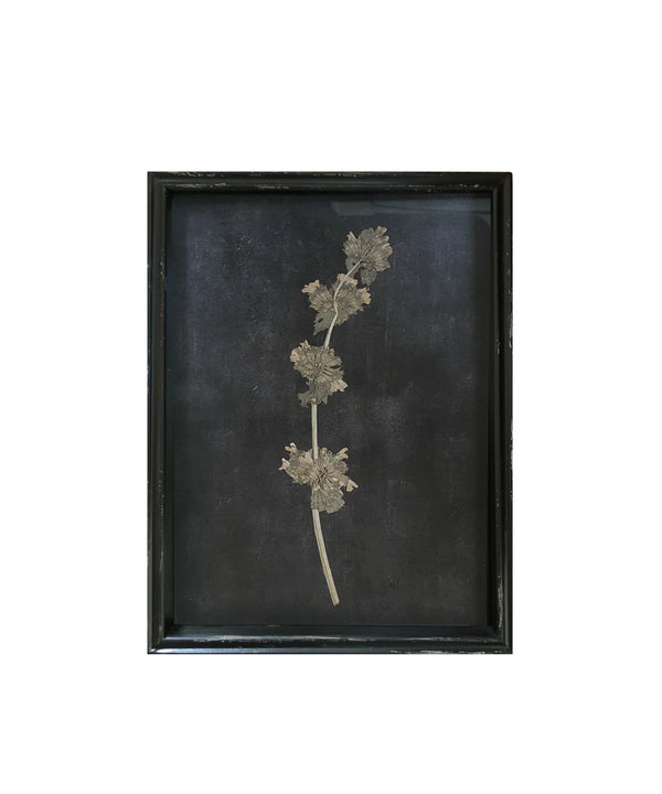 Framed Pressed Botanical Print, No. 3