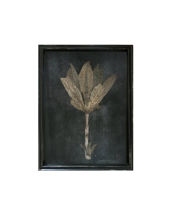 Framed Pressed Botanical Print, No. 4