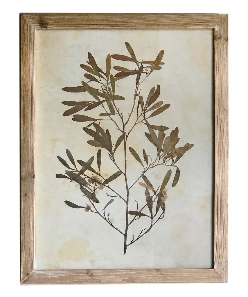 Pressed Wildflower Botanical Print, No. 3