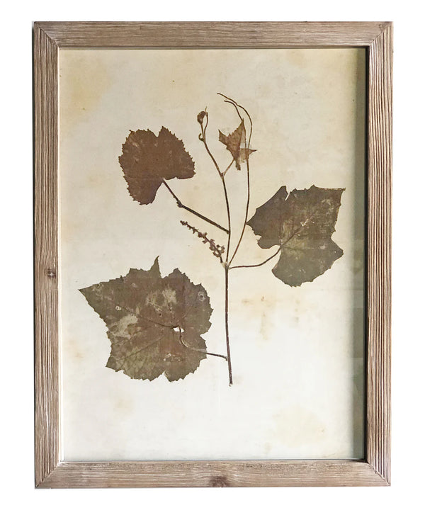 Pressed Wildflower Botanical Print, No. 4