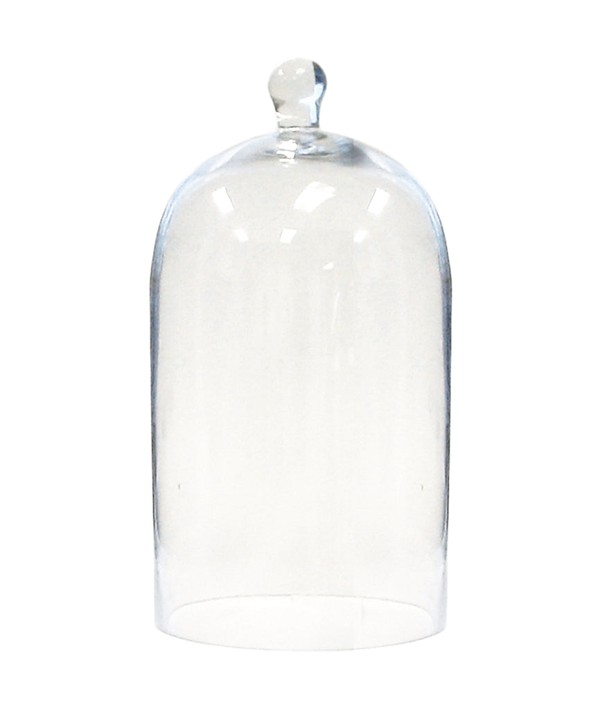 Glass Bell Cloche